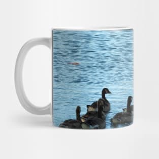 Canada Geese Swimming In A Row Mug